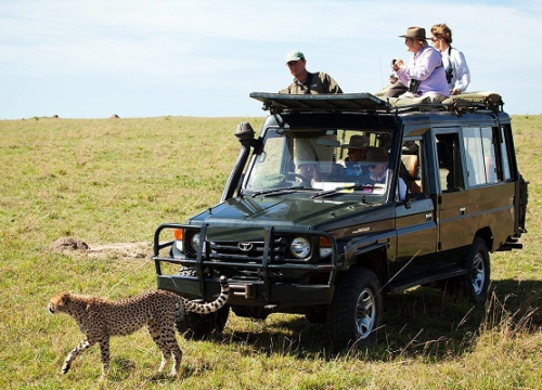 10-Day Kenya &Tanzania Wildebeest Migration Budget Safari