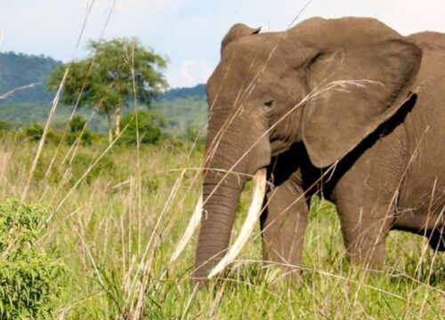 3-Day Oshili Etosha Tour